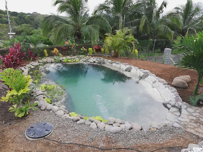 Esta hermosa biopiscina natural con sus aguas cristalinas se integra perfectamente en el paisaje, ofreciendo un oasis de relajación. Disfruta de los beneficios ecológicos de una piscina que promueve la biodiversidad gracias a su diseño sostenible.