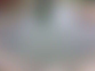 Cómo funciona una biopiscina - guía práctica y directa