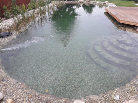 Cómo funciona una biopiscina - guía práctica y directa