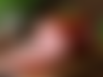 Country Store Outpost: Online Ordering for Authentic Country Hams