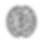 brain.png