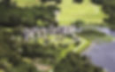 Ireland