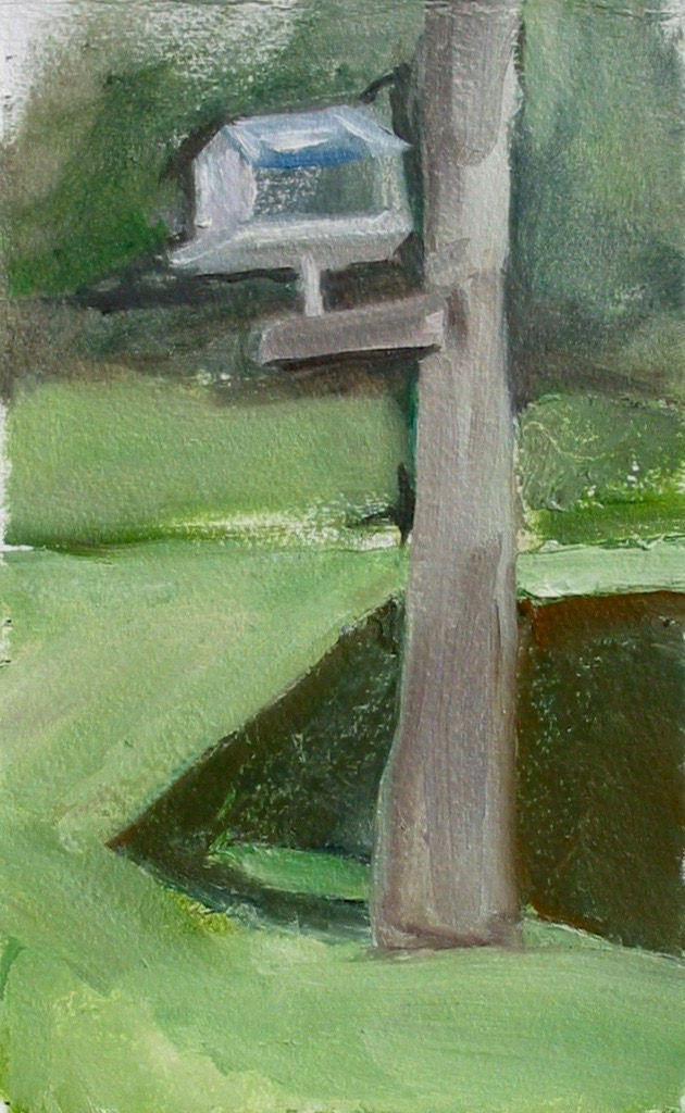 Birdhouse With Shadow