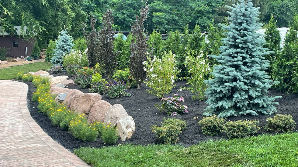 Predominantly larger plantings, trees, and bushes