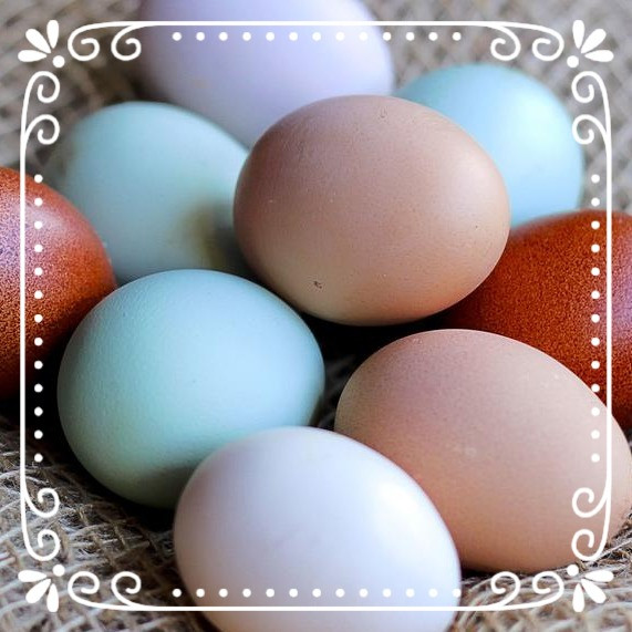Farm Fresh Eggs