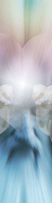heart-669552_1280.jpg
