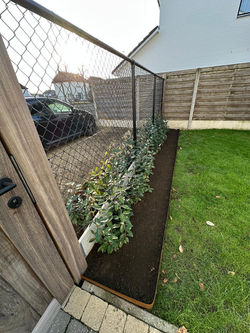 Tuinonderhoud