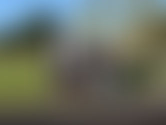 秋葉GC 倶楽部選手権2次予選結果速報