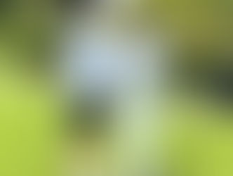 秋葉GC 理事長杯決勝&3位決定戦スタート