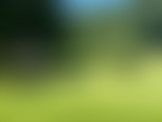 秋葉GC 理事長杯開幕!!