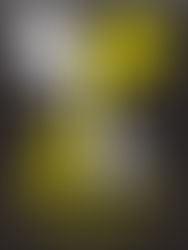 PROGRESS Pápa 2015 - Program