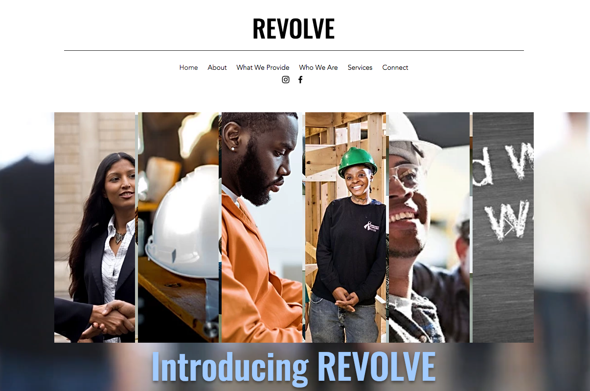 revolve group revolve group