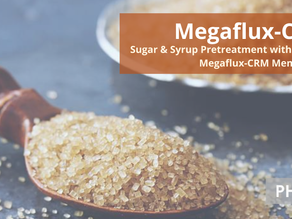 Sugar & Syrup Pretreatment: Rethinking Sugar Refining with PHILOS Megaflux-CRM