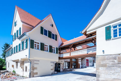 Ochsenareal in Walddorfhäslach