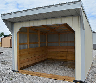 Metal Horse Run In Shed