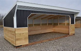 Wood and Metal Horse Run In Shed
