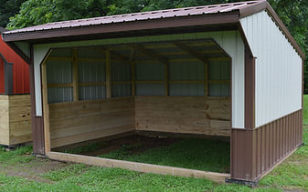 Metal Horse Run In Shed