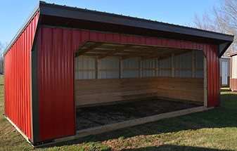 Metal Horse Run IN Shed