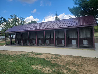 American Dog Kennels