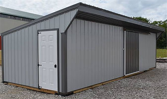 Metal Run In Shed