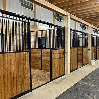 Basic Horse Stalls
