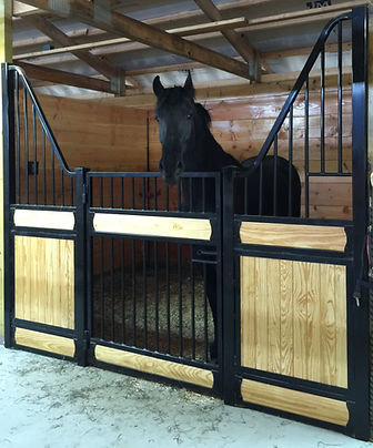 Classic Horse Stalls
