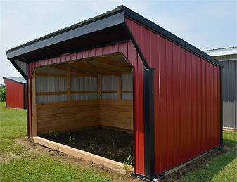Metal Horse Run In Shed