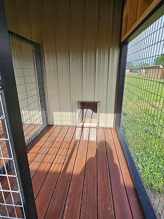 French Dog Kennels