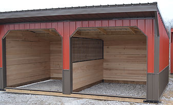 Metal Horse Run In Shed