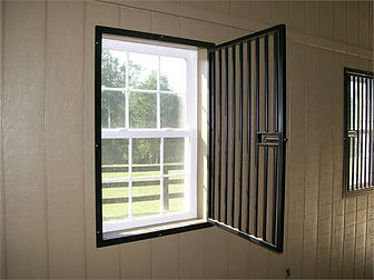Window Guards