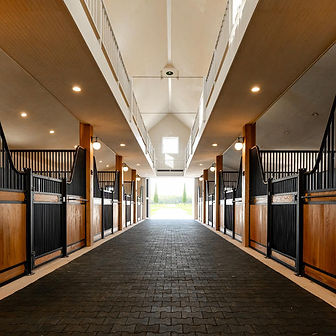 Classic Horse Stalls