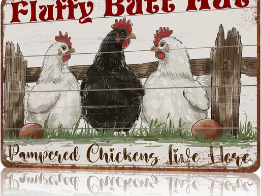 Chicken coop Decor