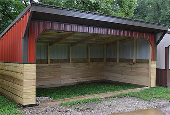 Wood and Metal Horse Run In Shed