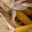 Thumbnail: Maize (ভুট্টা)