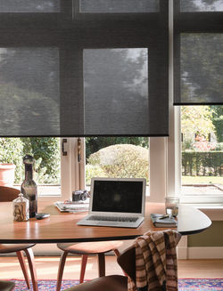 Remote Controlled Blinds