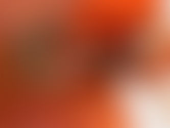 SEO for Fashion eCommerce: Our best practices to nail the online business