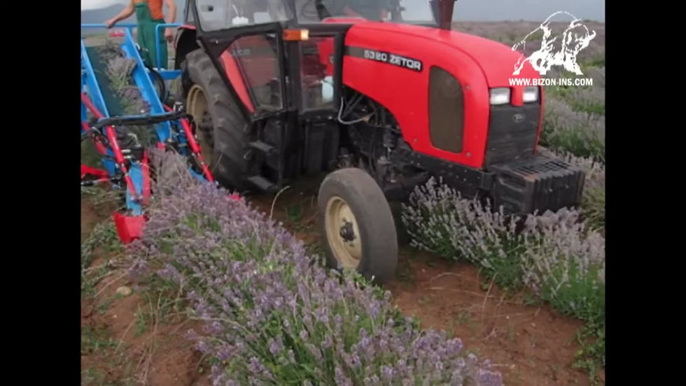 Thumbnail: Lavender Harvester / MKL 2K Platform (Big-bag sack filling)