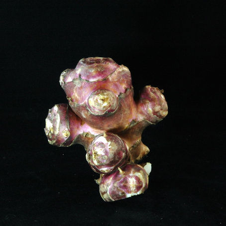 Gratin de topinambours Express