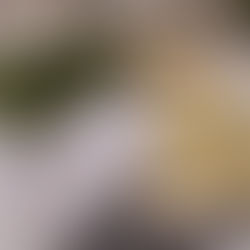 Œufs cocotte et salade de jeunes pousses d'épinards