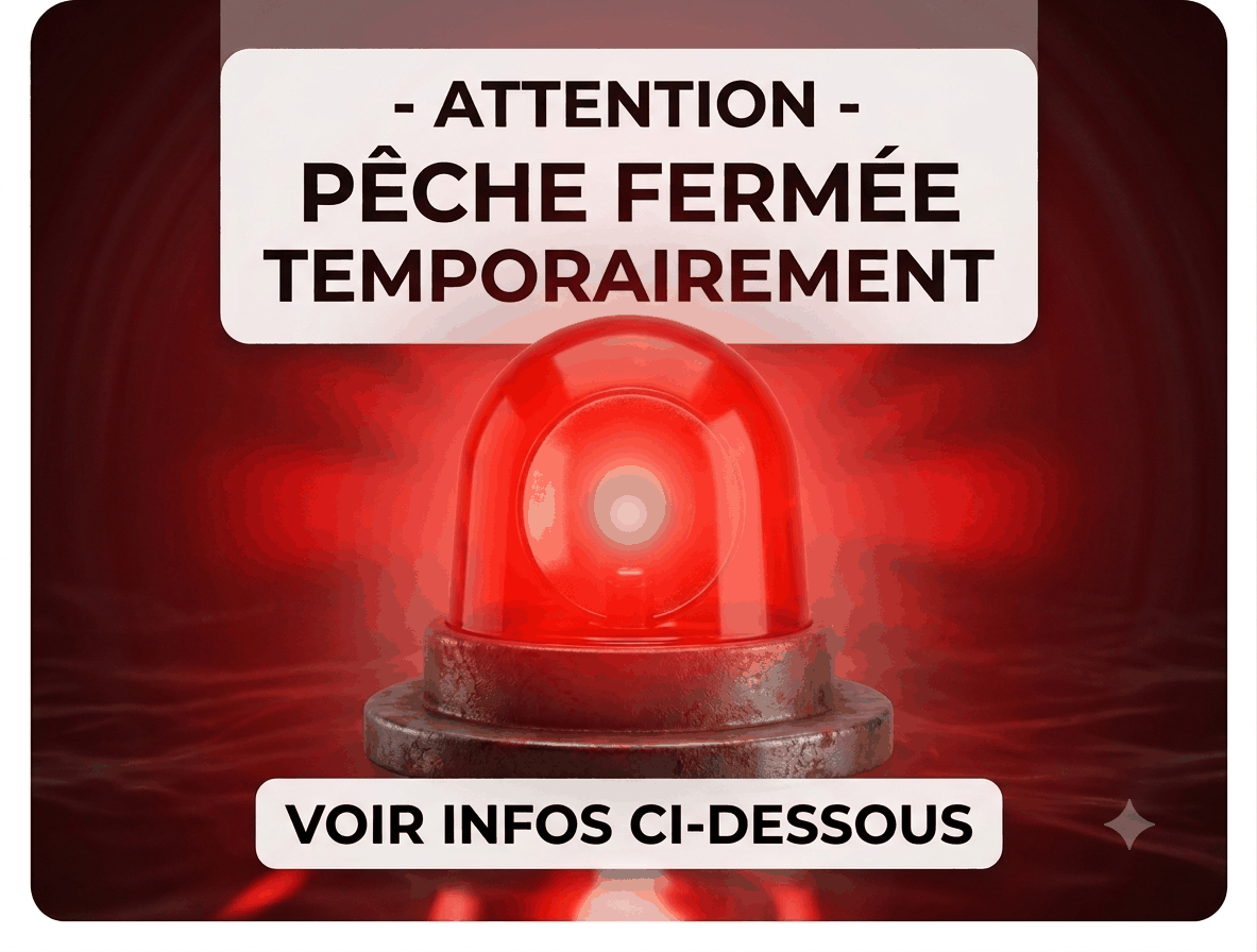 peche_fermee_gyrophare_clignotant.gif
