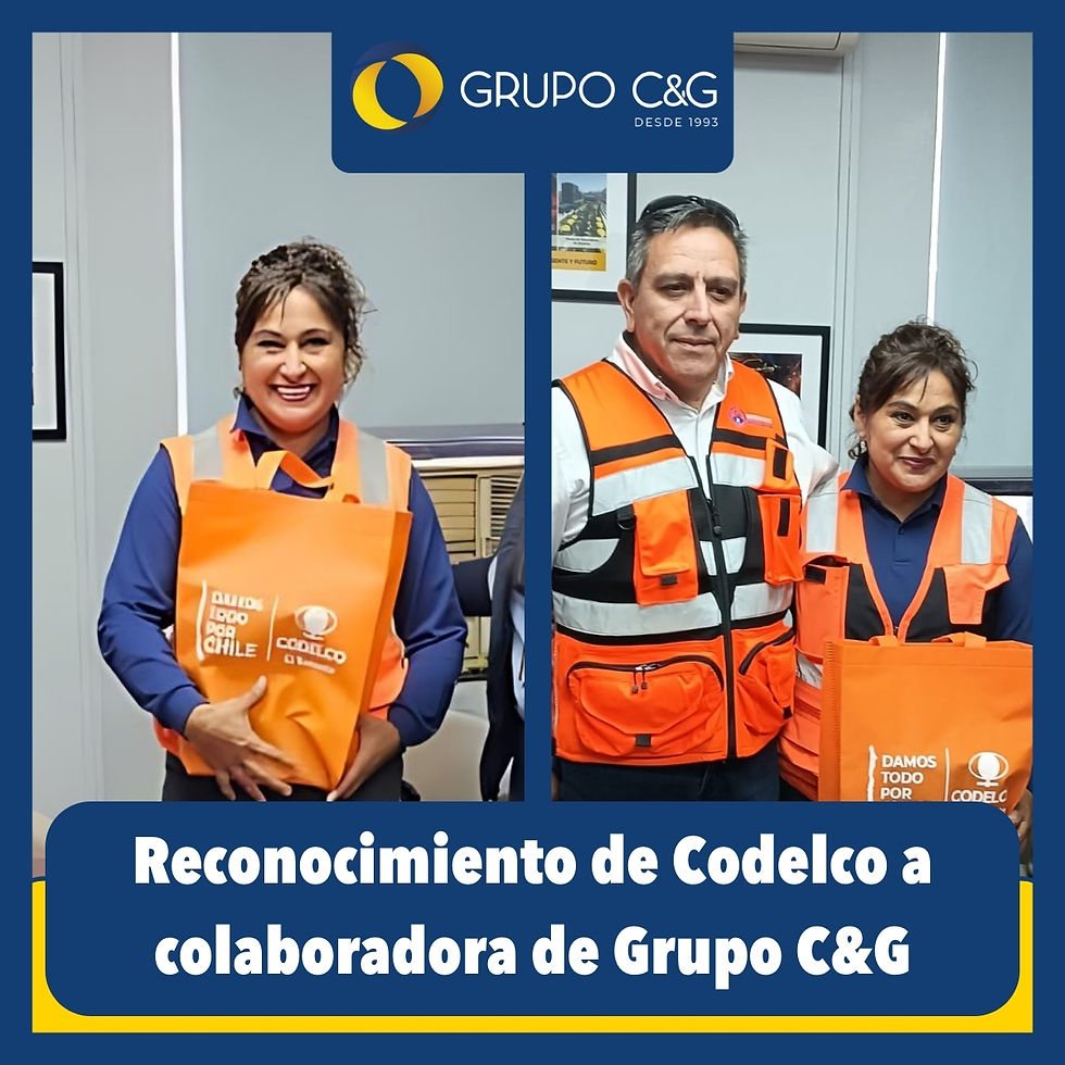 Registro de nuestra miembro del equipo C&G siendo reconocida por Codelco.