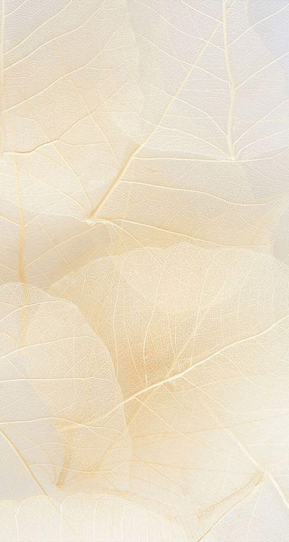 background workshop.jpg