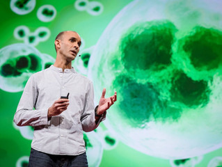 Consciousness at TED