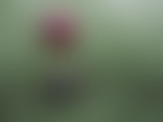 Shutter Speed