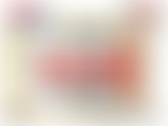 bendera partai hanura