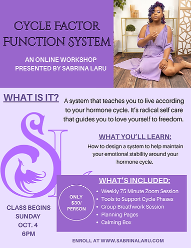 Cycle Factor Function System Flyer 2.PNG