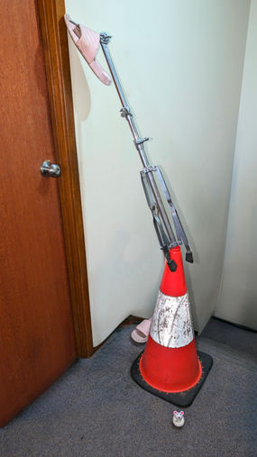 Raising Teens is like riding a roller coaster!