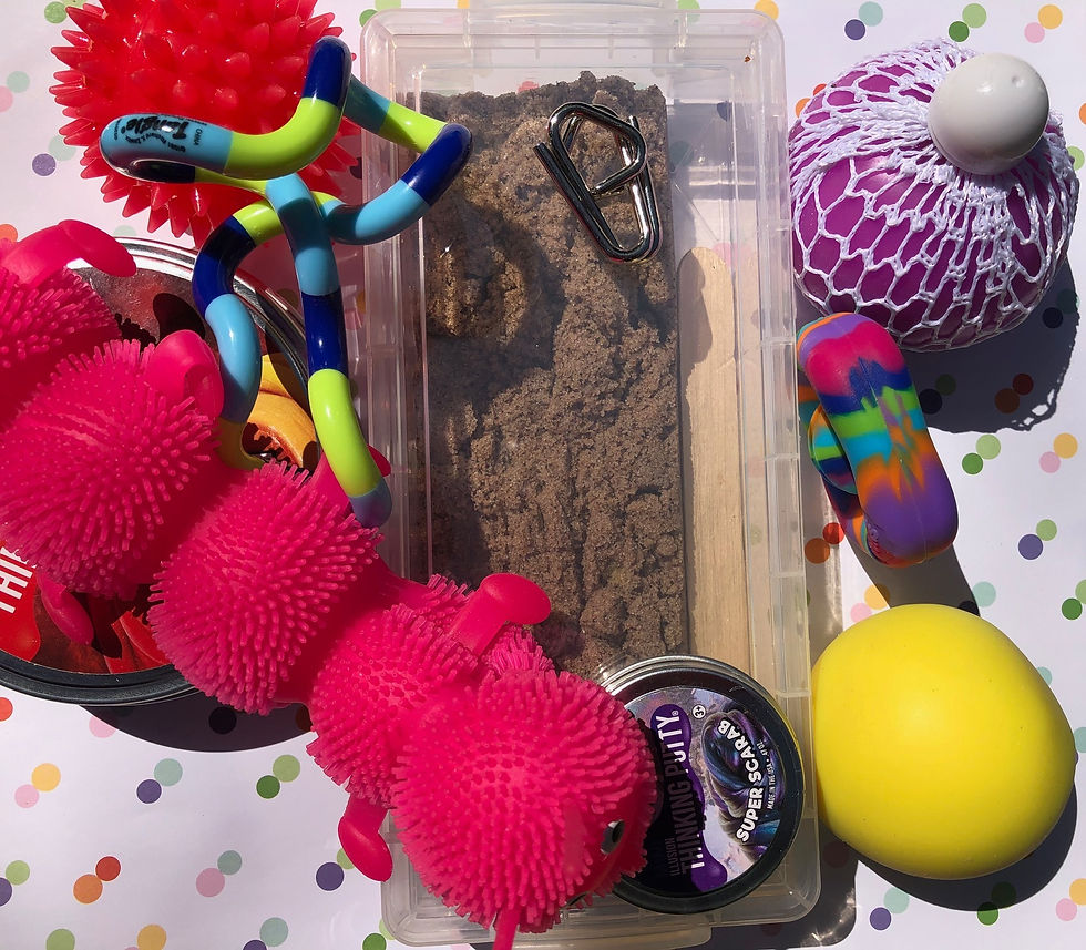 Thumbnail: Sensory Integration ToolKit (Deluxe)