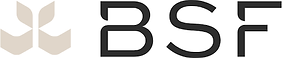 BSF2.png