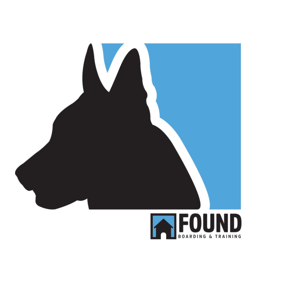 Found Chicago Boarding & Training Center | Chicago Dog Found Chicago Boarding & Training Center | Chicago Dog